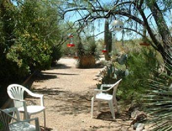 Bed And Bagels Of Tucson Hotel Tanque Verde Luaran gambar
